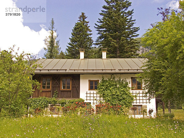Deutschland Bayern Oberbayern Linderhof altes Bauernhaus in Blumen Wiese mit Bäumen