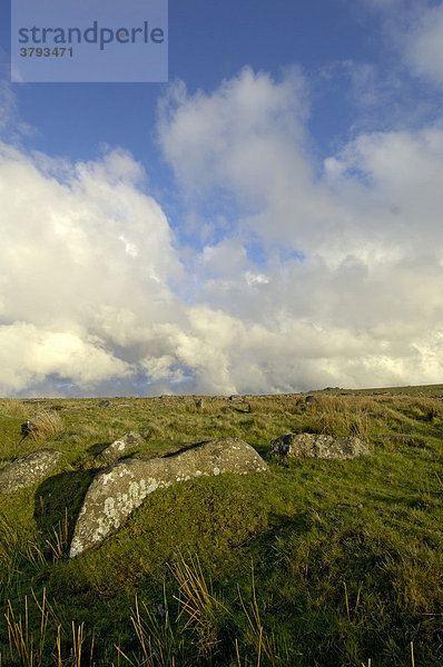 Landschaft zwischen Princetown und Tavistock Dartmoor National Park Devon England