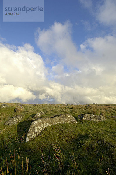 Landschaft zwischen Princetown und Tavistock Dartmoor National Park Devon England