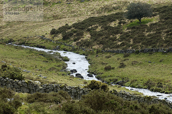 Tal des Dart flusses bei Two Bridges Dartmoor National Park Devon England