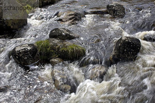 Der Dart Fluss bei Whistmans Wood Dartmoor National Park Devon England