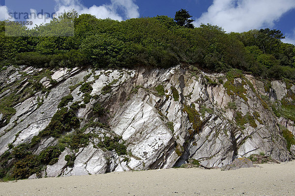 Schieferfelsen am Strand bei Slapton Slapton Sands South Devon England