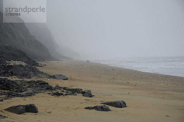 Jurassic Coast Klippen bei Charmouth nahe Lyme Regis Dorset East Devon Coast England