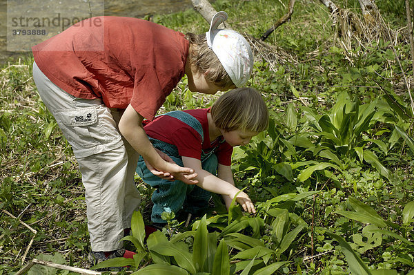 Ein siebenjähriger Junge und ein dreijähries Mädchen suchen nach einem Käfer