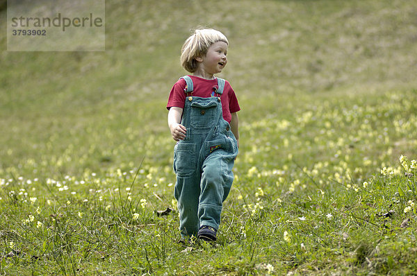 Ein dreijähriges Mädchen läuft in Blumenwiese im Frühling