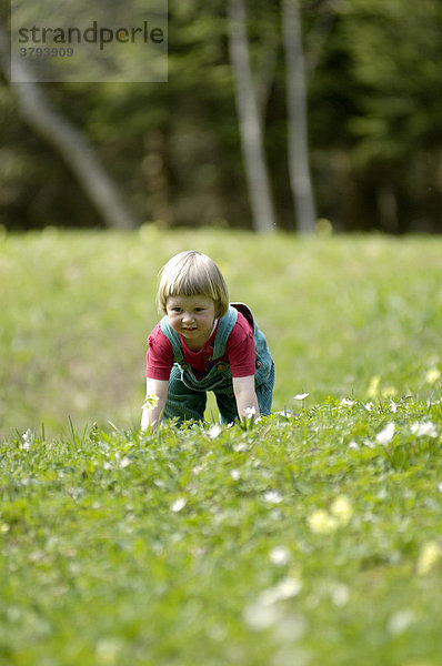 Ein dreijähriges Mädchen krabbelt in Wiese im Frühling