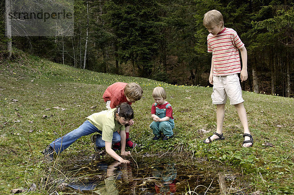 Kinder an kleinem Teich wollen einen Frosch fangen Bayern Deutschland