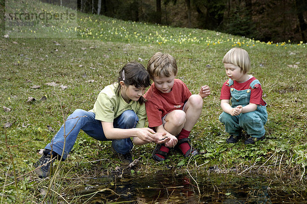Kinder an kleinem Teich haben einen Bergmolch Triturus alpestris gefangen Bayern Deutschland