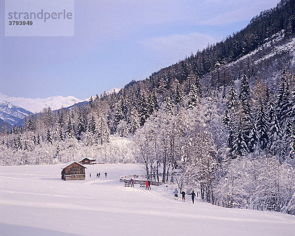 Winterlandschaft mit Skilangläufern Tirol Österreich