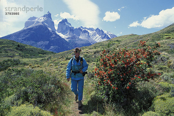 Wanderer im Torres del Paine Nationalpark Süd Chile