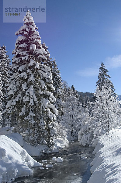 Die Rote Valepp im Winter nahe der Albert Link Hütte Valepp beim Spitzingsee Oberbayern Bayern Deutschland