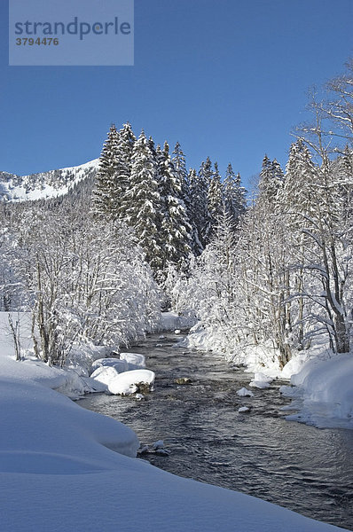 Die Rote Valepp im Winter nahe der Albert Link Hütte Valepp beim Spitzingsee Oberbayern Bayern Deutschland