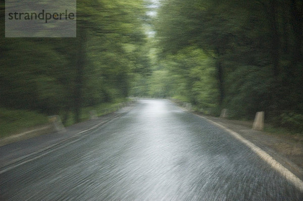 Fahrt bei schlechtem Wetter auf der Höhenstraße durch den Wienerwald bei Wien  Niederösterreich