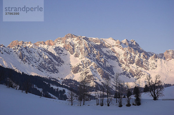 Der verschneite Gipfel des Hochkönig im Abendlicht  Dienten  Salzburger Land  Österreich