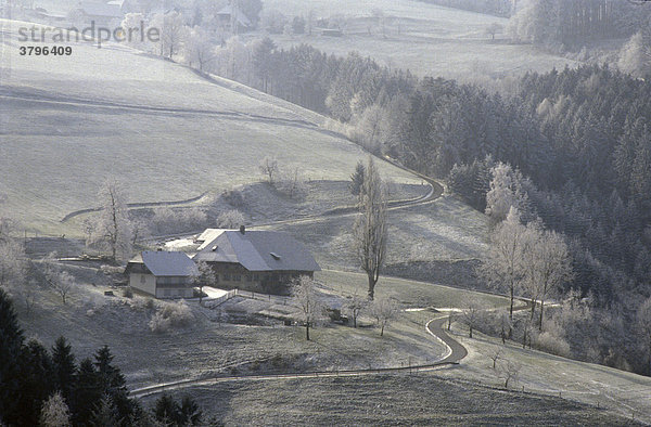 Schwarzwaldhof im Winter bei Schnee und Raureif. St. Ulrich  Geiersnest  Südschwarzwald  Baden-Württemberg  Deutschland