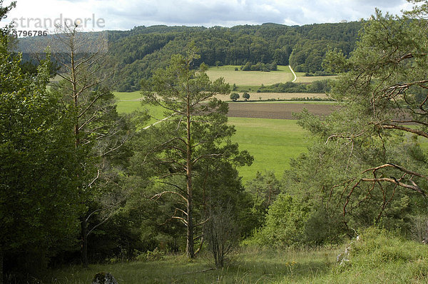 Landschaft im Altmühltal bei Eßlingen Bayern  Deutschland