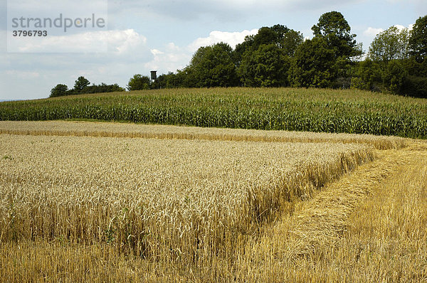 Landschaft im Altmuehltal in Bayern