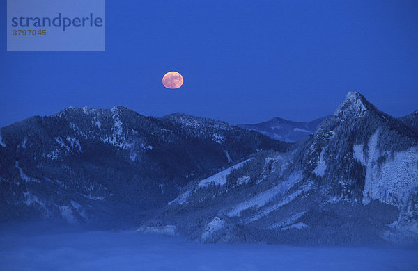 Mondaufgang am Traunsee Blick vom Feuerkogel Salzkammergut Oberösterreich