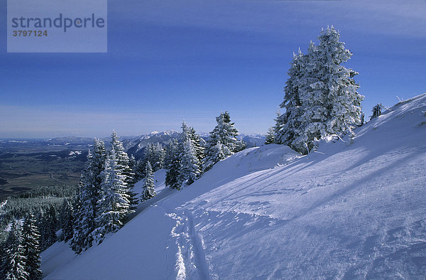 Deutschland Oberbayern Ammergauer Alpen Laberberg bei Oberammergau