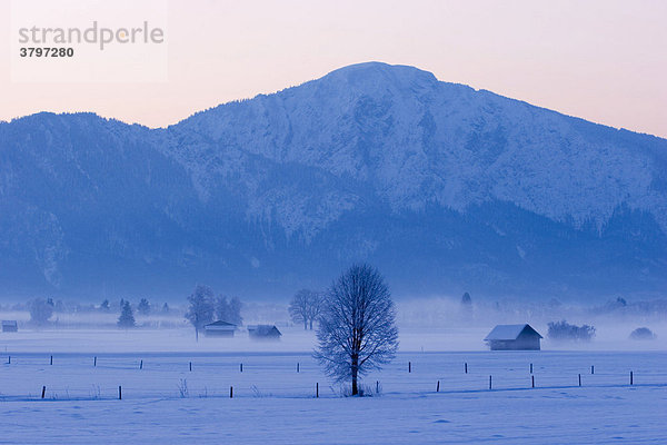 Wintermorgen im Kochelseemoos bei Großweil Oberbayern