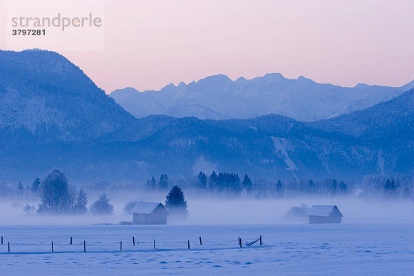 Wintermorgen im Kochelseemoos bei Großweil Oberbayern