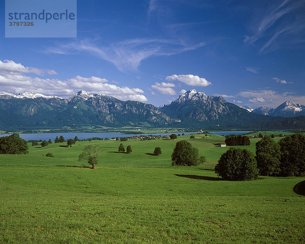 Deutschland Bayern Ostallgäu - Blick von Ussenburg über Forggensee zum Tegelberg und Säuling