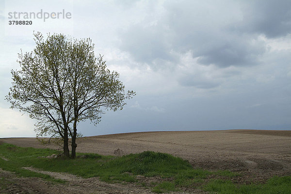 Landschaft