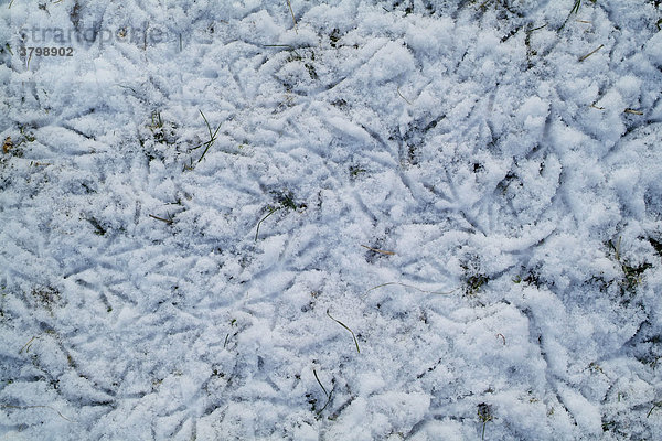 Spuren im schnee