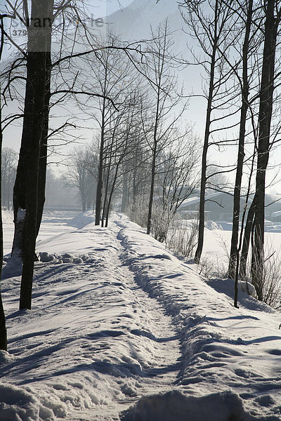 Weg im Schnee