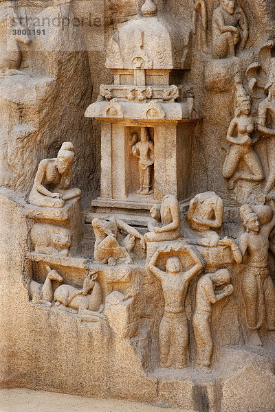 Indien  Tamil Nadu  Mahabalipuram  UNESCO-Weltkulturerbe  Informationen der Pallava-Ära Fels Schnitzen von Arjunas Penance mit dem Wasser des Ganges
