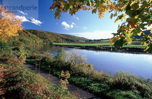 Weser im Herbst  Niedersachsen  Deutschland