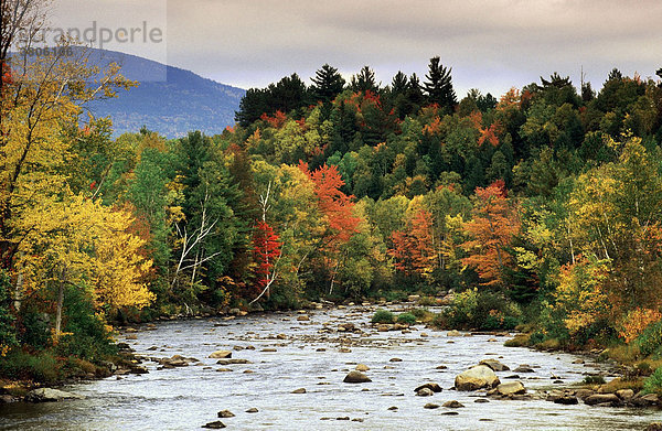Fluss im Herbst  Vermont  USA / Indian Summer
