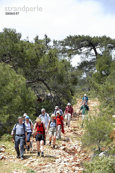 Wandergruppe auf steinigem Pfad im Wald im Besparmak Pentadaktylos Gebirge Nordzypern Zypern