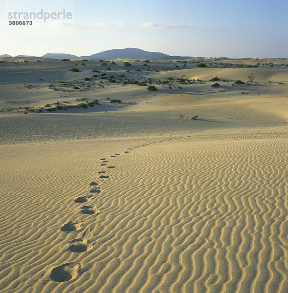Fuerteventura Kanarische Insel Spanien El Jable bei Corralejo Naturpark mit Sanddünen