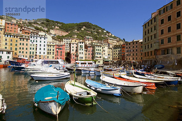 Camogli bei Portofino Riviera di Levante Ligurien Italien