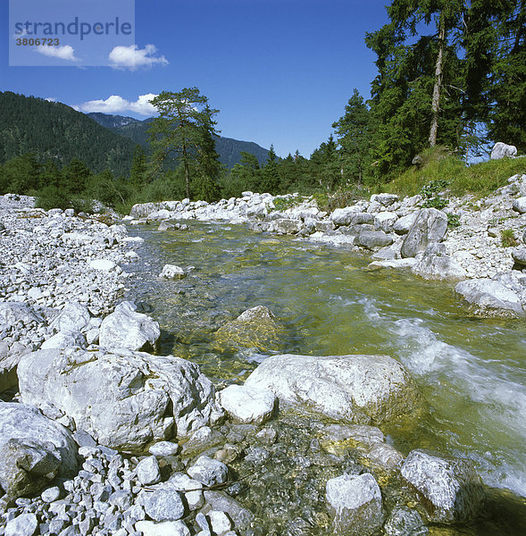 Kuhfluchtbach bei Farchant im Werdenfelser Land Kreis Garmisch-Partenkirchen Oberbayern Deutschland