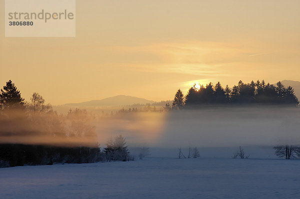 Sonnenaufgang mit Winterlandschaft und Nebel