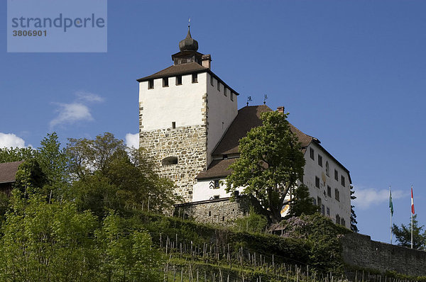 Burg Werdenberg oberhalb von Werdenberg Buchs im Rheintal Kanton St. Gallen Schweiz