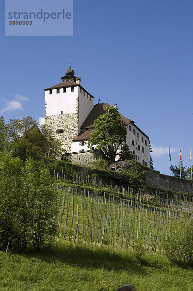 Burg Werdenberg oberhalb von Werdenberg Buchs im Rheintal Kanton St. Gallen Schweiz