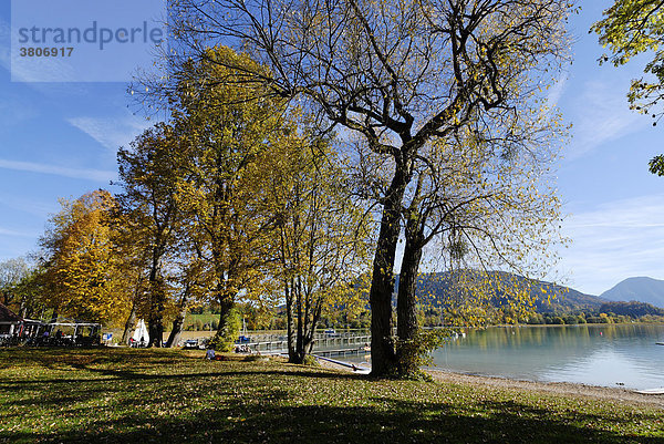 Tegernsee Oberbayern Bayern Deutschland bei Gmund