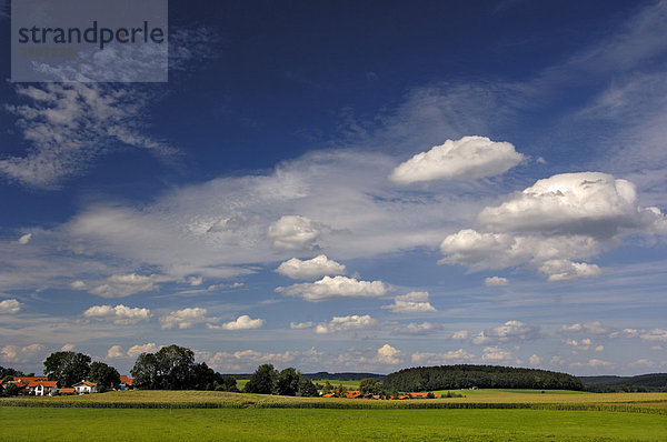 Wolkenhimmel mit Cirrocumulus  Altocumulus und Cumuluswolken (chaotisch aussehender Himmel) -laut Wolkenatlas-Voralpenland- Bayern  Deutschland