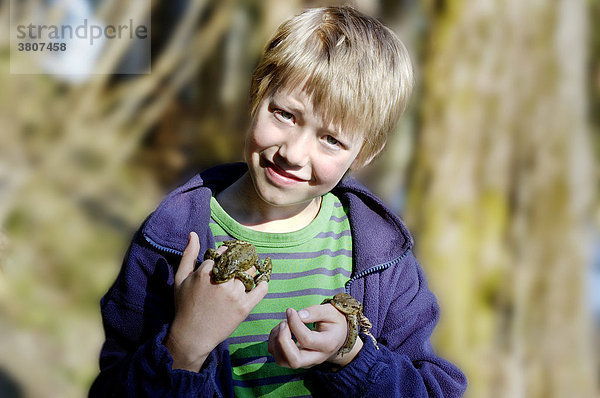 Erdkröte ( Bufo bufo ) liegt auf der Hand von einem Kind neun Jahre