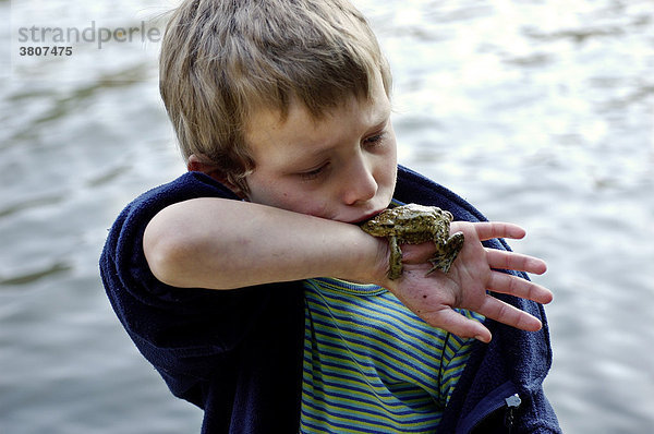 Kind sieben Jahre schmust mit Erdkröte ( Bufo bufo )   die auf der seinem Arm liegt