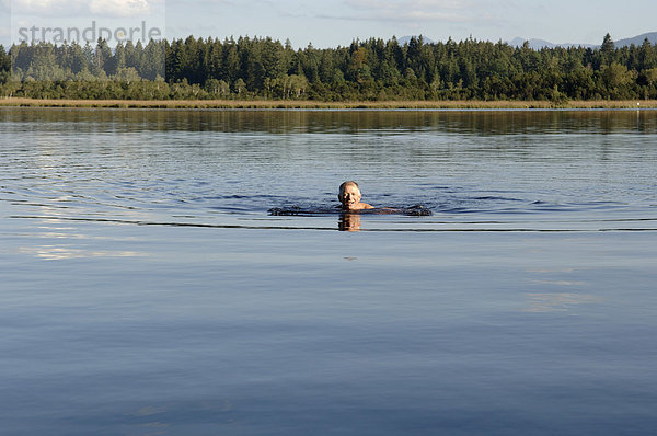 Mann schwimmt im See  Kirchsee  Oberbayern  Bayern  Deutschland