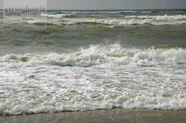 Wellen  Nordsee  Niederlande