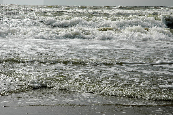 Wellen  Nordsee  Niederlande