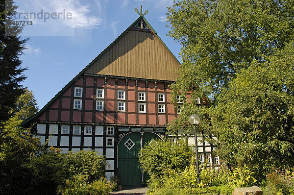 Historische Gebäude im Jugendhof  Burg Vlotho auf dem Amtshausberg  Teutoburger Wald  NRW  Nordrhein Westfalen  Deutschland