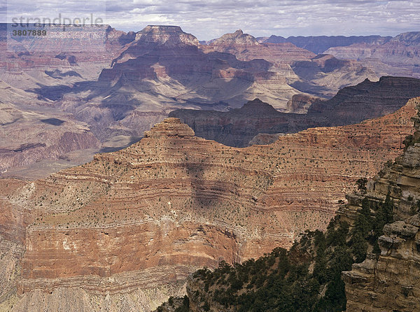 Aussicht vom Yavapai point  Grand Canyon  Arizona  USA
