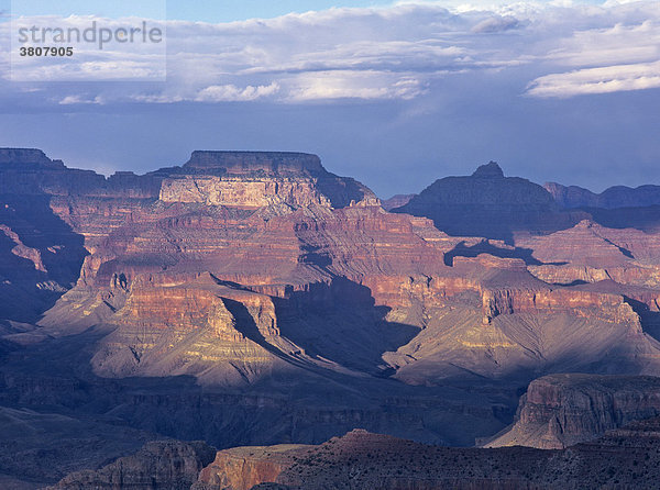 Aussicht vom Powell Point  Grand Canyon  Arizona  USA