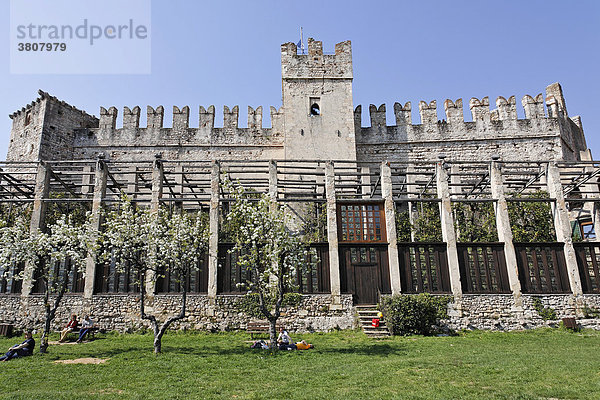Zitronengewächshaus eine alte Limonaie vor der Burg  Torri del Benaco  Gardasee Italien